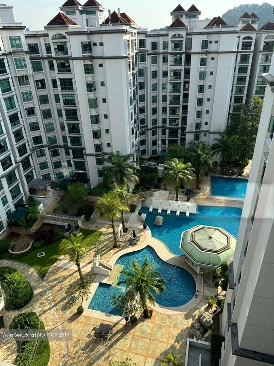 The Hillside (D21), Condominium #501649131